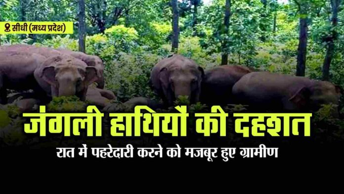 Panic of wild elephants