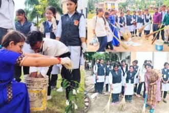 Swachhta Pakhwada