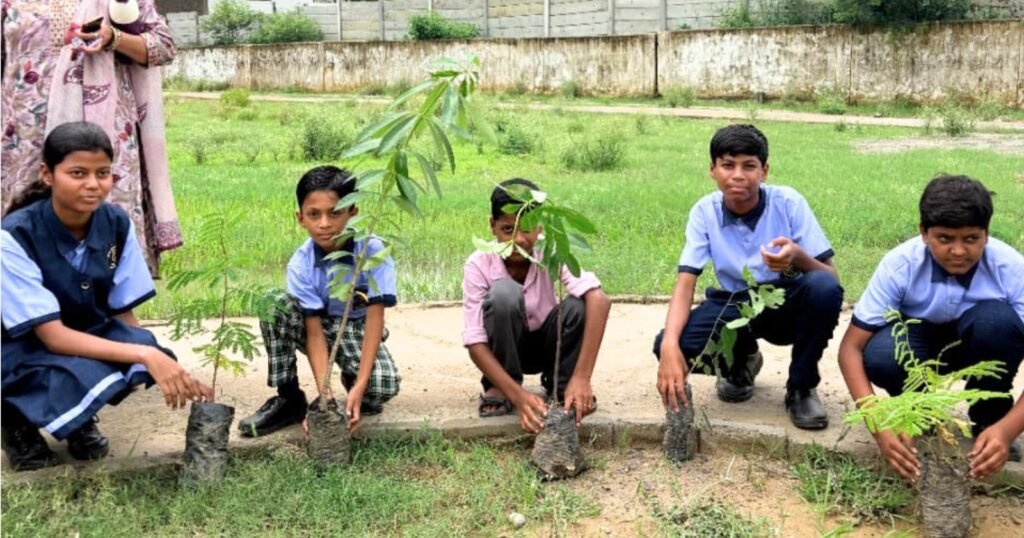 Tree Plantation