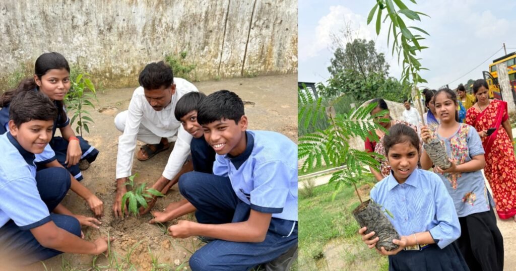 Singrauli School