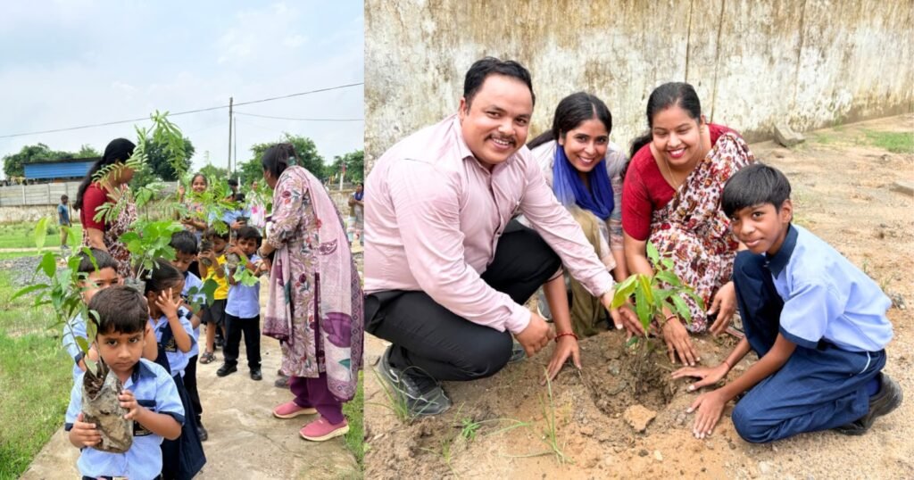 tree-plantation