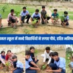 tree-plantation