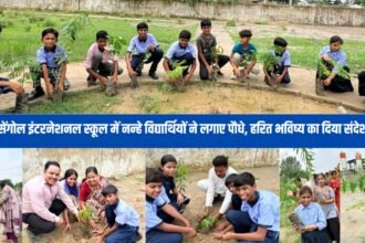 tree-plantation
